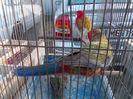 DSCN0188