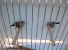 DSCN0190