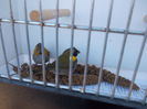 DSCN0192