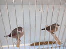 DSCN0193