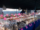 DSCN0202