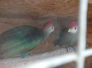 DSCN0208