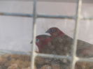DSCN0217
