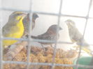 DSCN0219