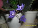 SAM_8654