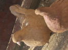 DSCN1688