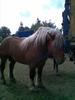 Imag010