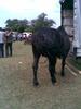 Imag012