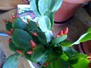 IMG_20150309_123416