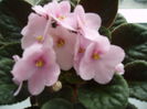 PICT0493