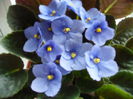 PICT0496