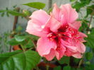 DSC09920
