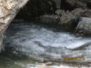 IMG_0981