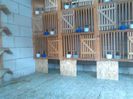 IMG_20150309_174102
