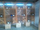 IMG_20150309_174224