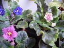 PICT0500
