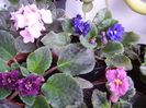 PICT0501