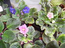 PICT0503
