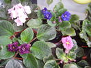 PICT0504