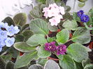 PICT0505