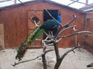 20150308_091405