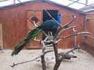 20150308_091407