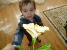 SAM_3155