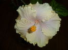 SAM_3180