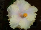 SAM_3185