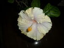 SAM_3201