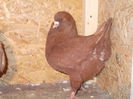 DSCN0454