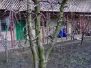 080320153411