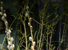 DSCN0037