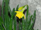 DSCN9248