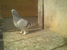 Imag 013341
