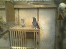 Imag 013343