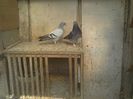 Imag 013345