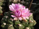 DSC09856