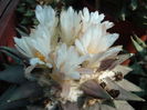 DSC09860