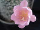 DSC06493
