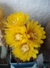 DSC06525