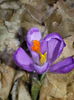 20150311_164348
