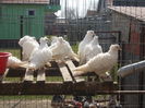 DSCN3579