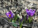 DSCN0334