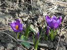 DSCN0335