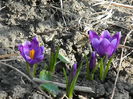 DSCN0336