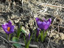 DSCN0337