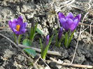 DSCN0349