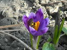 DSCN0358