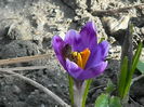 DSCN0361